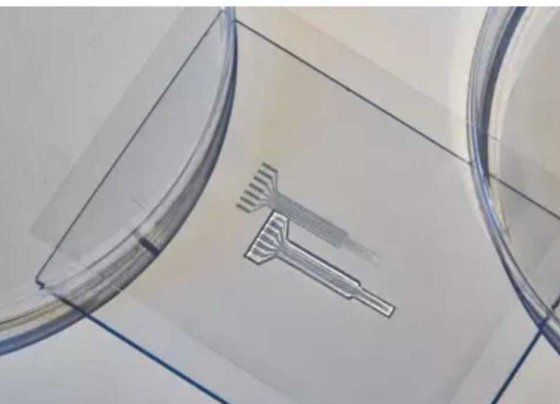 Ingenieros del MIT han desarrollado un material sin metales similar a la gelatina que puede conducir la electricidad de manera similar a los metales convencionales