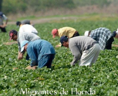 , pidieron a los trabajadores inmigrantes que no abandonen el estado