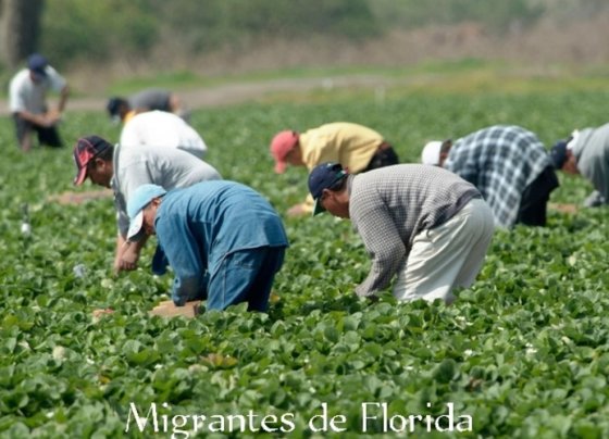 , pidieron a los trabajadores inmigrantes que no abandonen el estado