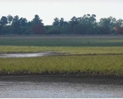 Lacalle Pou anunció que exonerará de impuestos al agua embotellada y que se controlará su precio al decretar el estado de emergencia hídrica.