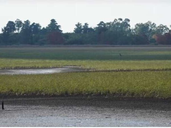 Lacalle Pou anunció que exonerará de impuestos al agua embotellada y que se controlará su precio al decretar el estado de emergencia hídrica.