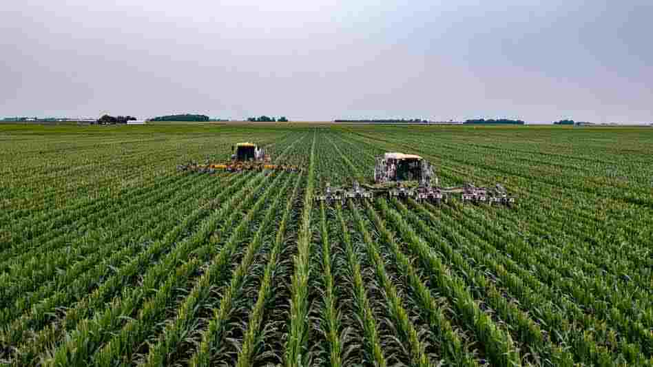 Las prácticas agrícolas sostenibles también podrían mejorar la seguridad energética