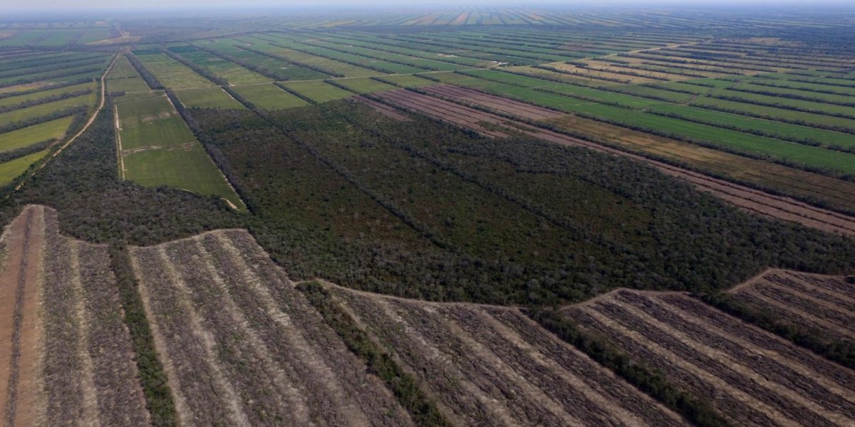 Bolivia ha explotado sus recursos naturales y se ha quedado con los pasivos ambientales zonas de sacrificio y pobreza.