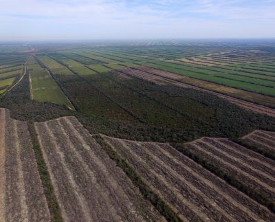 Bolivia ha explotado sus recursos naturales y se ha quedado con los pasivos ambientales zonas de sacrificio y pobreza.