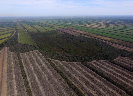 Bolivia ha explotado sus recursos naturales y se ha quedado con los pasivos ambientales zonas de sacrificio y pobreza.