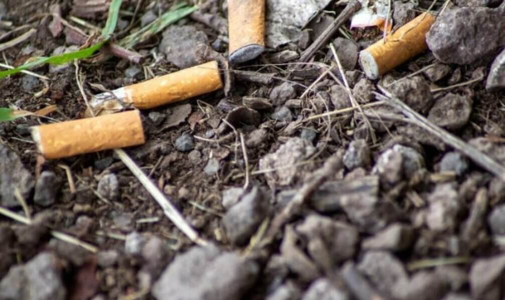 La Universidad de Harvard concluye que una de cada cinco muertes en el mundo está causada por la contaminaciónatmosférica provocada por el uso de combustibles fósiles