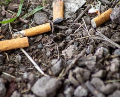 La Universidad de Harvard concluye que una de cada cinco muertes en el mundo está causada por la contaminaciónatmosférica provocada por el uso de combustibles fósiles