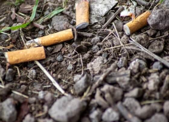 La Universidad de Harvard concluye que una de cada cinco muertes en el mundo está causada por la contaminaciónatmosférica provocada por el uso de combustibles fósiles