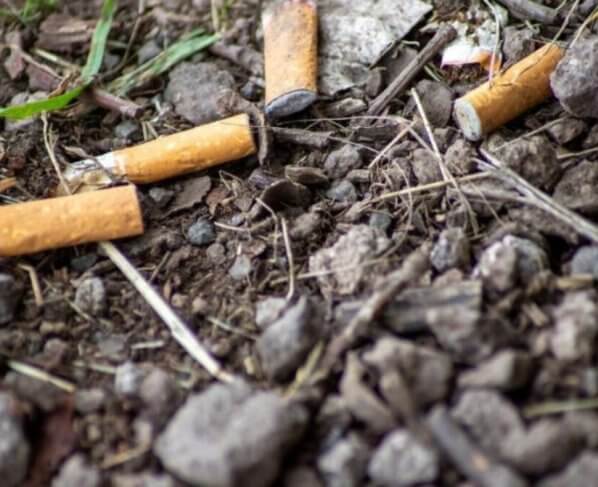 La Universidad de Harvard concluye que una de cada cinco muertes en el mundo está causada por la contaminaciónatmosférica provocada por el uso de combustibles fósiles