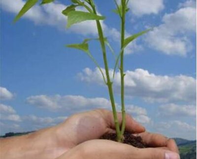 La ONU sensibiliza a la población mundial en relación con temas ambientales, intensificando la atención y la acción política.