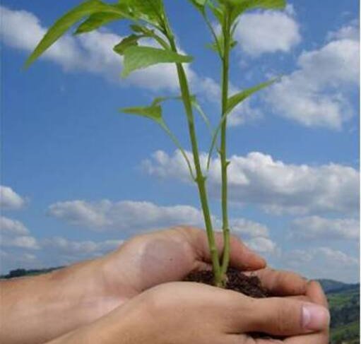 La ONU sensibiliza a la población mundial en relación con temas ambientales, intensificando la atención y la acción política.