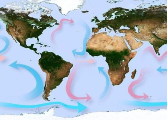 El Punto Nemo es el lugar más inaccesible de la Tierra, también conocido como el "polo oceánico de inaccesibilidad",