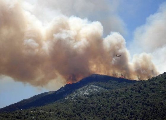 uno de los estudios más grandes y completos sobre el impacto a largo plazo en la salud de la exposición al humo plantea preocupaciones importantes sobre impacto a largo plazo.