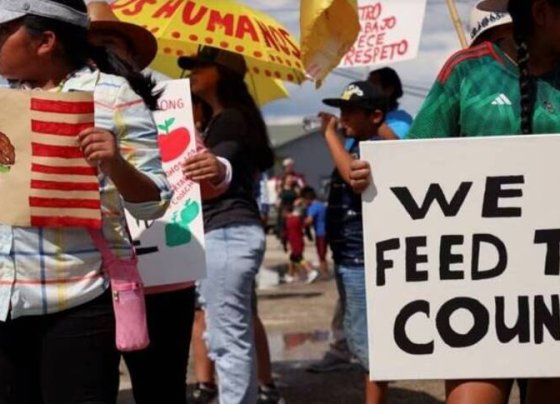 Inmigrantes y otras organizaciones protestaron contra las leyes del gobernador Ron DeSantis que imponen restricciones a los inmigrantes en la Florida.