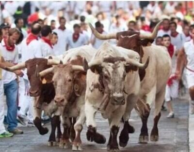 Durante esta semana la capital Navarra cuenta con miles de turistas que vienen de varias partes del mundo para participar y disfrutar de esta celebración.