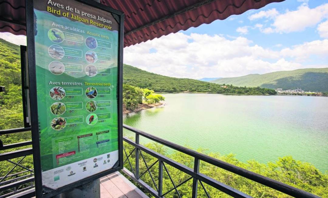 La idea es que en cada municipio el visitante sea capaz de descubrir la gastronomía y la cultura que fomentará una economía para las comunidades locales.