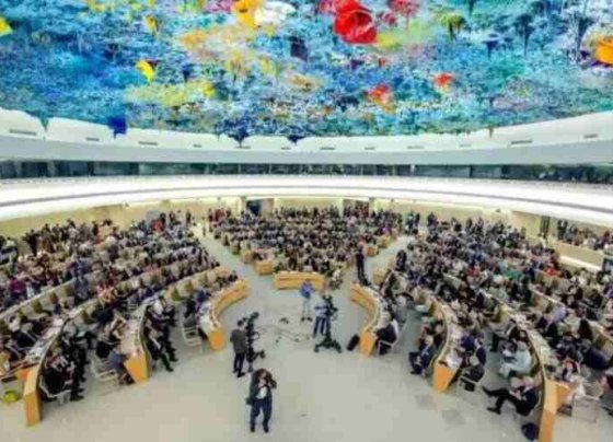 Todos ellos coincidieron en apoyar la labor de la Oficina del Alto Comisionado para los Derechos Humanos en Venezuela y en alentar el diálogo entre el Gobierno y la oposición.
