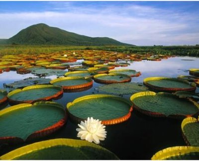 La calidad y cantidad de bosques, espacios naturales y la riqueza de la fauna son los factores que se tienen en cuenta para realizar esta lista.