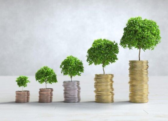 capital natural, crecimiento económico,