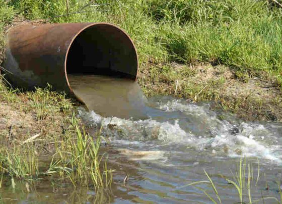 los jabones y detergentes contienen tensoactivos –sustancias químicas que debido a su composición alteran la disolución y transferencia de oxígeno entre la superficie del agua y el aire
