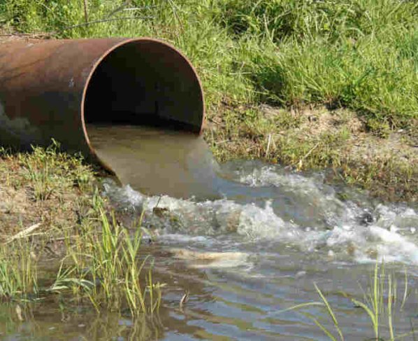 los jabones y detergentes contienen tensoactivos –sustancias químicas que debido a su composición alteran la disolución y transferencia de oxígeno entre la superficie del agua y el aire