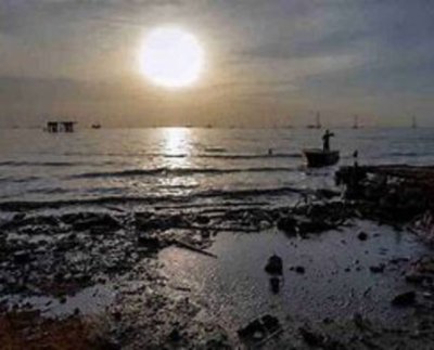 Barboza explicó que el verdín es el resultado de la falta de tratamiento de las aguas residuales y los desechos orgánicos que se vierten al lago desde las ciudades