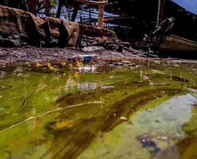 En un recorrido realizado por periodistas de HEY por el Lago de Maracaibo con líderes ambientalistas del estado Zulia al occidente del país comprobaron la magnitud del ecocidio.