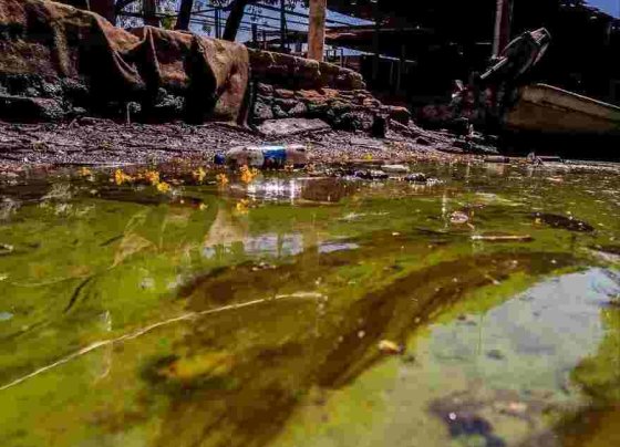 En un recorrido realizado por periodistas de HEY por el Lago de Maracaibo con líderes ambientalistas del estado Zulia al occidente del país comprobaron la magnitud del ecocidio.