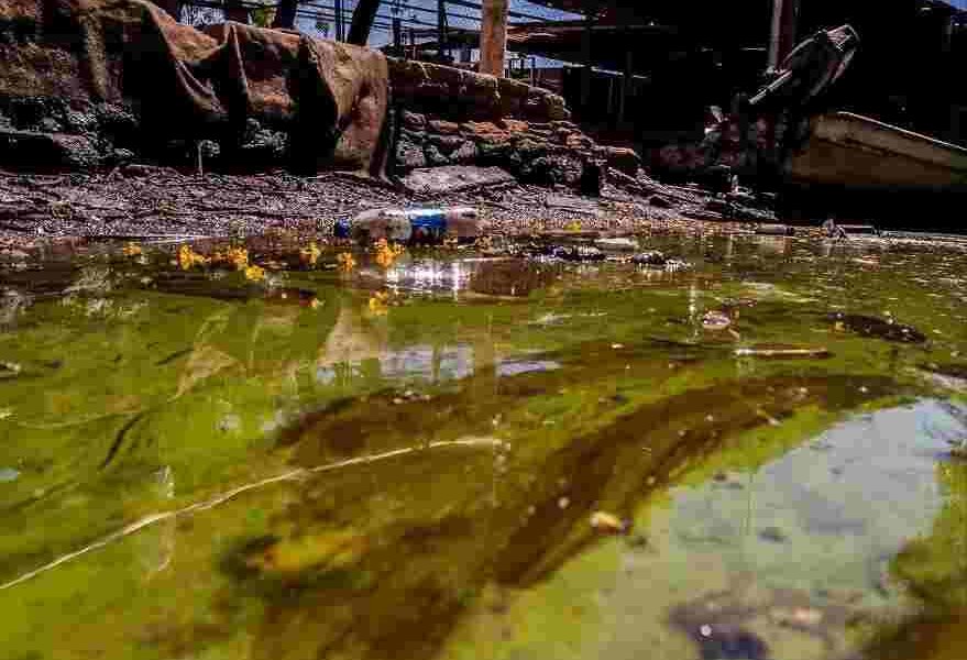 En un recorrido realizado por periodistas de HEY por el Lago de Maracaibo con líderes ambientalistas del estado Zulia al occidente del país comprobaron la magnitud del ecocidio.