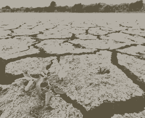 Cualquier lugar con terreno empinado y montañoso donde el agua puede moverse muy rápidamente tiene un riesgo particularmente alto.