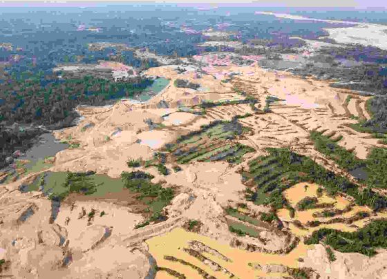 Han sido 4.1 millones de hectáreas de cobertura boscosa las que desaparecieron en un solo año, a un promedio de 11 campos de fútbol por minuto