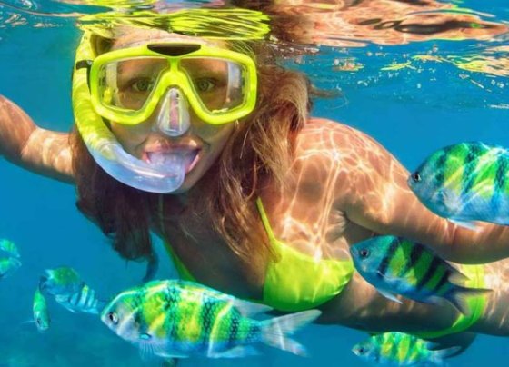 Hey! Tu diario digital hispano está en sintonía en materia ecológico-ambiental para tu sano espacimiento!