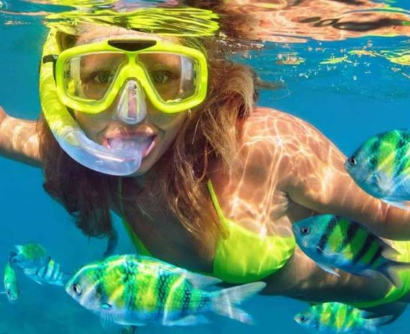 Hey! Tu diario digital hispano está en sintonía en materia ecológico-ambiental para tu sano espacimiento!