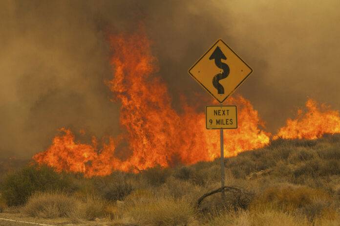 Los bomberos contuvieron parcialmente este martes 1 de agosto un enorme incendio que comenzó en una reserva de vida silvestre en California y se extendió a Nevada