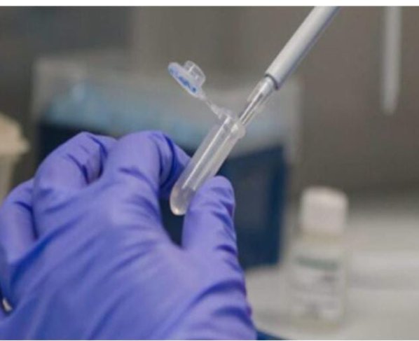 “A partir del 30 de agosto de 2023 las personas que vengan a China ya no tendrán que realizar pruebas covid-19 de ácido nucleico o antígenos previas a la entrada” afirmó Wang.