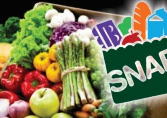 Tanto ciudadanos como personas indocumentadas pueden recibir el beneficio de las "Food Stamps" o Asistencia Nutricional (SNAP)