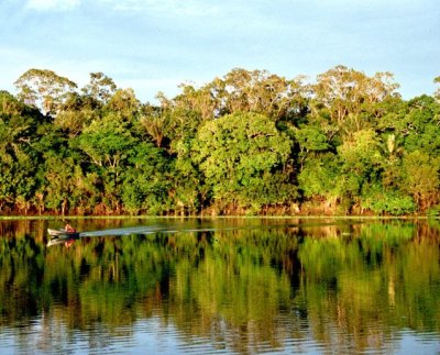 Aspira además a combinar la defensa del medio ambiente con la creación de empleos dignos en las zonas que dependen en gran medida del aprovechamiento de la Amazonía.