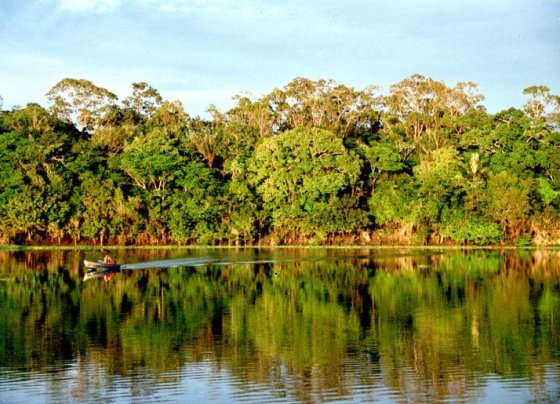 Aspira además a combinar la defensa del medio ambiente con la creación de empleos dignos en las zonas que dependen en gran medida del aprovechamiento de la Amazonía.