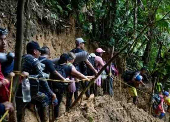 Según cifras reveladas desde enero de 2023 han transitado más de 320.000 personas por la selva para continuar su recorrido hacia EEUU.