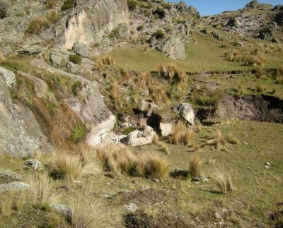 La combinación del uso extensivo de tierras para ganadería y la quema de suelos en áreas de pastizales de montaña en Argentina podría transformar ese territorio en un desierto rocoso.