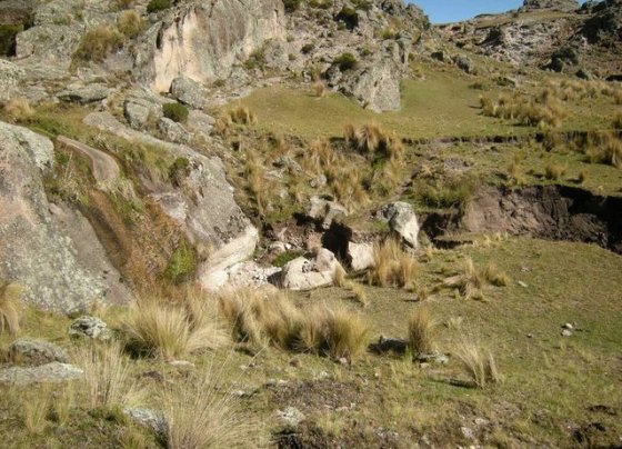 La combinación del uso extensivo de tierras para ganadería y la quema de suelos en áreas de pastizales de montaña en Argentina podría transformar ese territorio en un desierto rocoso.