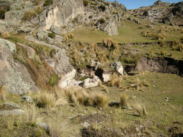 La combinación del uso extensivo de tierras para ganadería y la quema de suelos en áreas de pastizales de montaña en Argentina podría transformar ese territorio en un desierto rocoso.