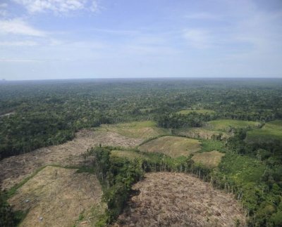 El informe “Las ganancias del colapso” señala a ocho grandes bancos como impulsores de la destrucción de la Amazonía y del clima al financiar compañías de petróleo y gas en la región.