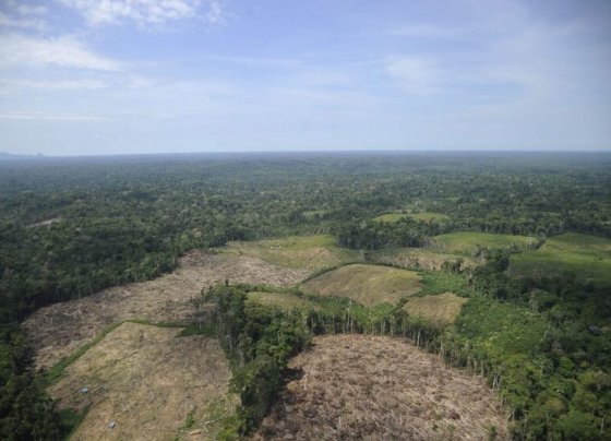 El informe “Las ganancias del colapso” señala a ocho grandes bancos como impulsores de la destrucción de la Amazonía y del clima al financiar compañías de petróleo y gas en la región.