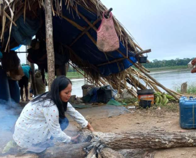 La investigación realizada por la Central de Pueblos Indígenas de La Paz indica que el 74,5% de la población evaluada (302 personas) supera el límite de niveles de mercurio permitidos en el organismo de las personas establecido por la Organización Mundial de la Salud.