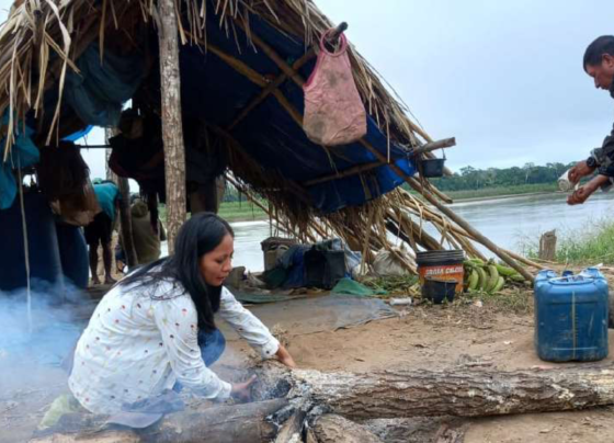 La investigación realizada por la Central de Pueblos Indígenas de La Paz indica que el 74,5% de la población evaluada (302 personas) supera el límite de niveles de mercurio permitidos en el organismo de las personas establecido por la Organización Mundial de la Salud.