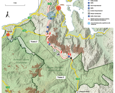 El último tramo de una carretera al sur de Chile amenaza una de las especies arbóreas más longevas del mundo conocida como Alerce.