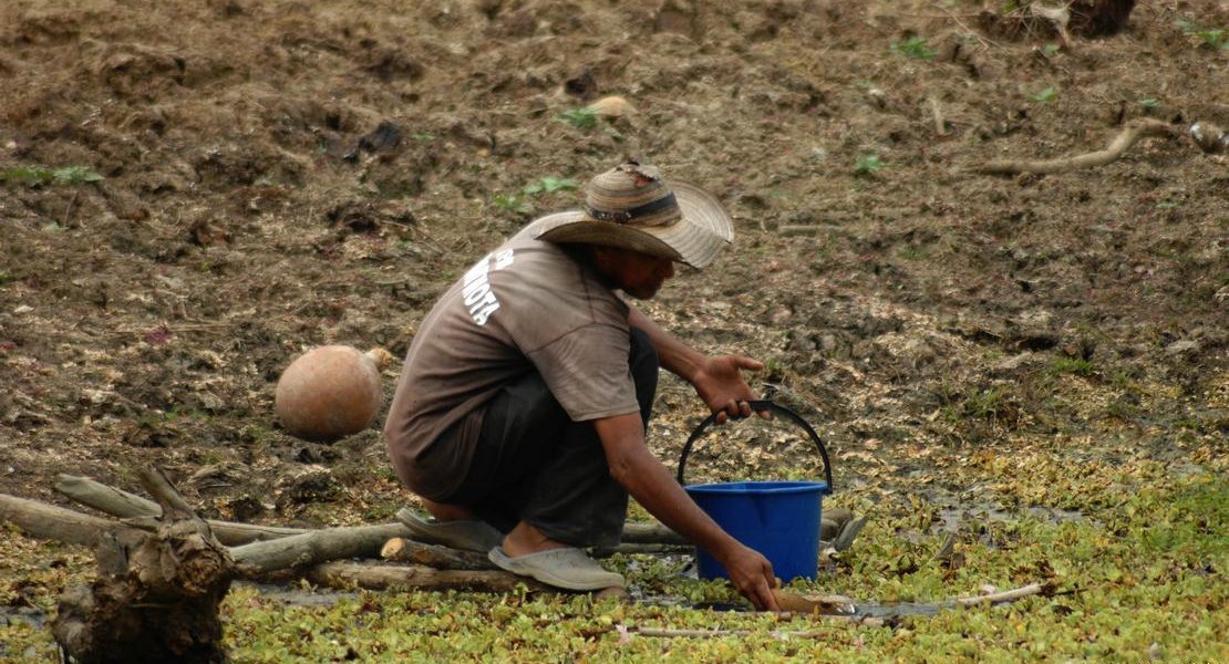 La explotación extrema de las tierras cultivables deja tras sí zonas desérticas que obligan a eliminar más bosques.
