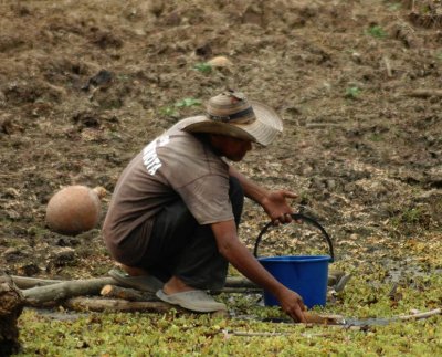 La explotación extrema de las tierras cultivables deja tras sí zonas desérticas que obligan a eliminar más bosques.