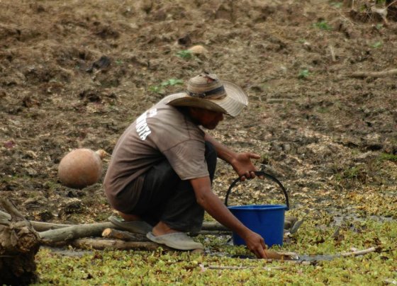 La explotación extrema de las tierras cultivables deja tras sí zonas desérticas que obligan a eliminar más bosques.